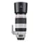 Canon EF 100-400/4.5-5.6 L IS II