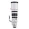 Canon EF 200-400/4.0 L IS Extender 1.4x