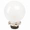 Profoto Pro Globe