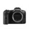 Canon EOS R5