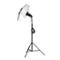 umbrella Profoto - white small (33" / 85cm)