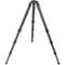 tripod  M - Gitzo Carbon GT5541 LS