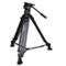 video tripod kit - Sachtler DV 10 SB / MA545