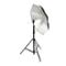 umbrella Profoto - silver small  (33" / 85cm)