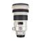 Canon EF 200/2 L IS