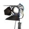 Arri Tungsten 1kW Fresnel - T1