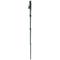 monopod Gitzo Carbon GM2541