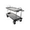 cart - MAGLINER Gemini Sr.